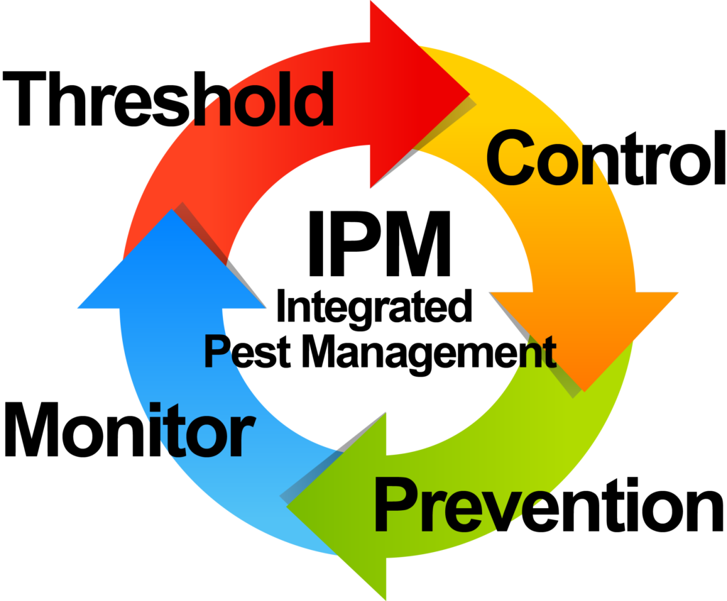 What is IPM? A Deep Dive into Integrated Pest Management in Massachusetts