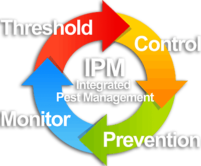 Rats Be Gone: Discover the Best Ways to Eliminate Rats Rats Be Gone: Discover the Best Ways to Eliminate Rats