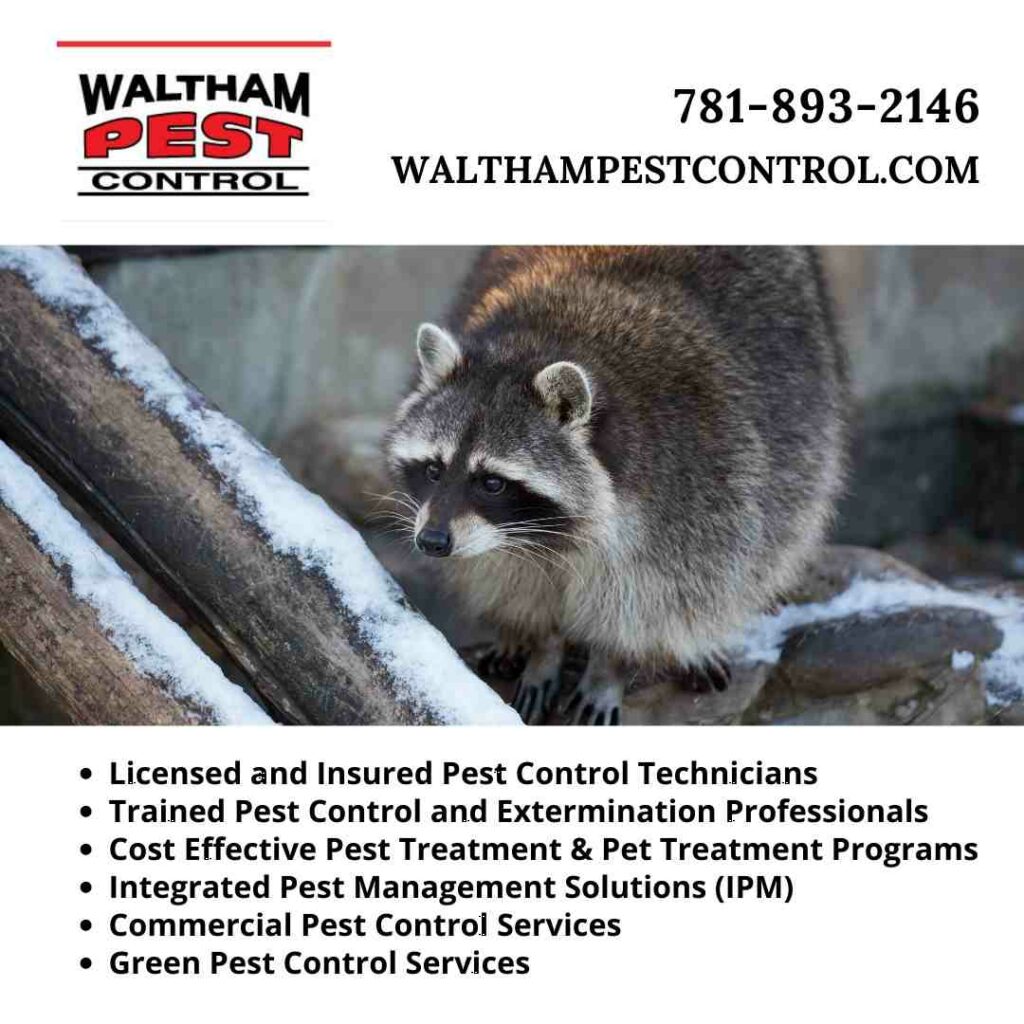 Commercial Pest Services: Choosing the Right Solution for Your Business
