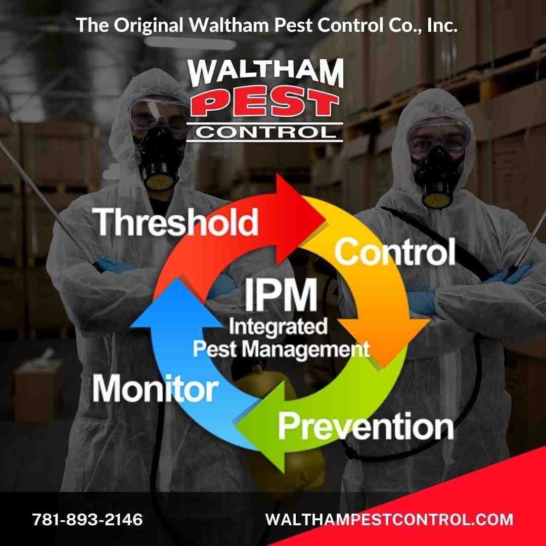 Top-Rated Professional Pest Control Services for Your Home