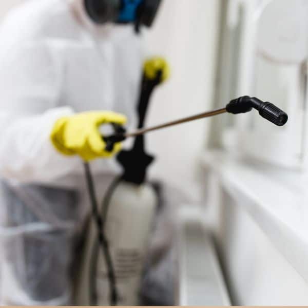 Exterminator Middleton MA