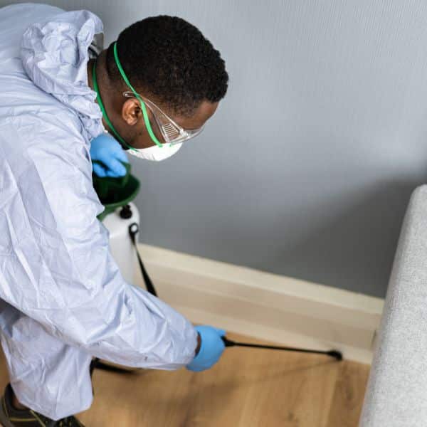 Exterminator Middleton MA