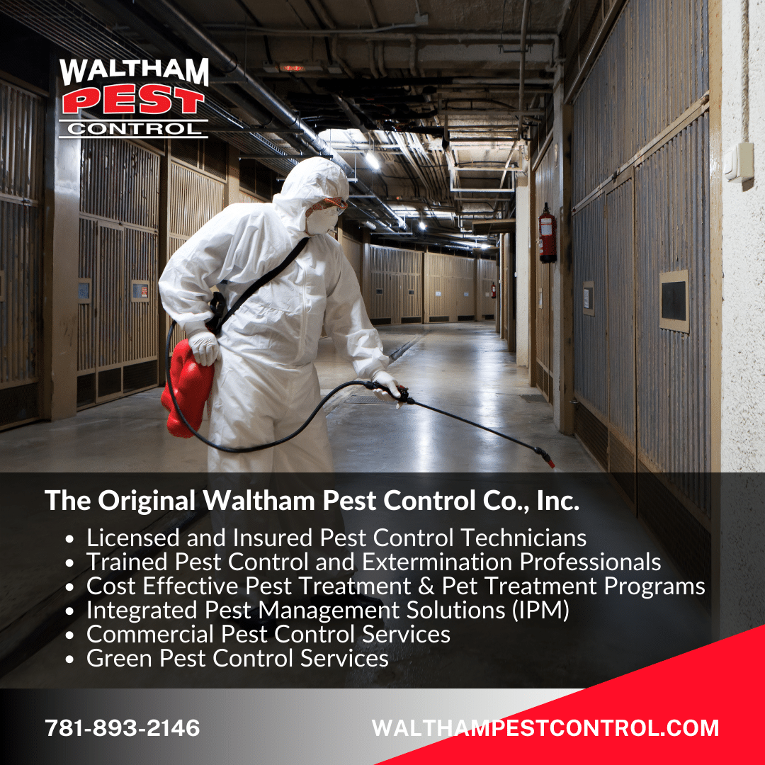 Comprehensive Pest and Rodent Control: Services You Can Trust