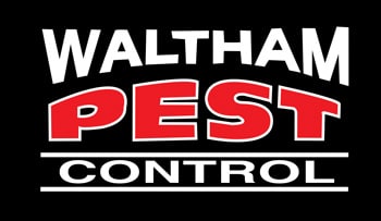 The Ultimate Guide to Contacting Waltham Pest Services