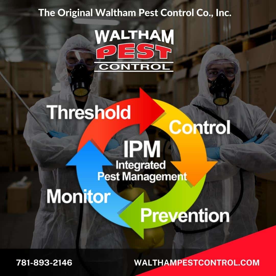 Local Commercial Pest Control: Top Providers Near You