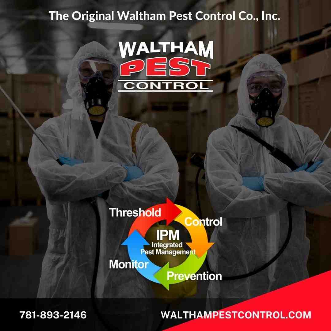 Local Commercial Pest Control Services: A Comprehensive List