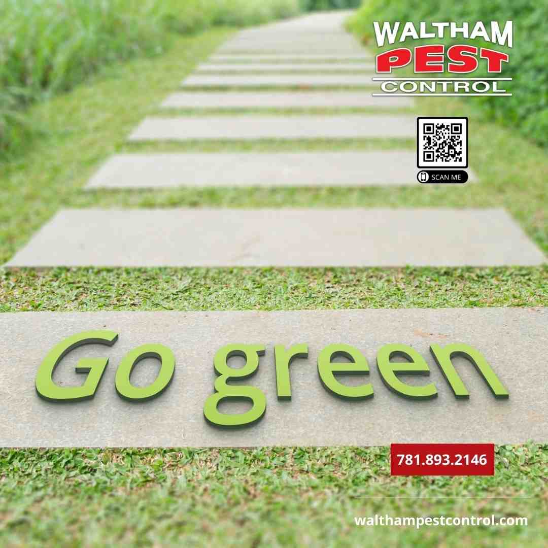 Finding the Best Pest Control in Franklin, MA