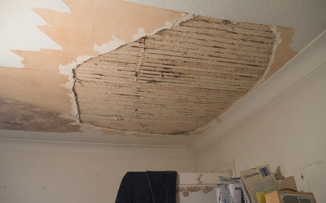 The Silent Chews: What Early Termite Signs in Your Ceiling Are Telling You